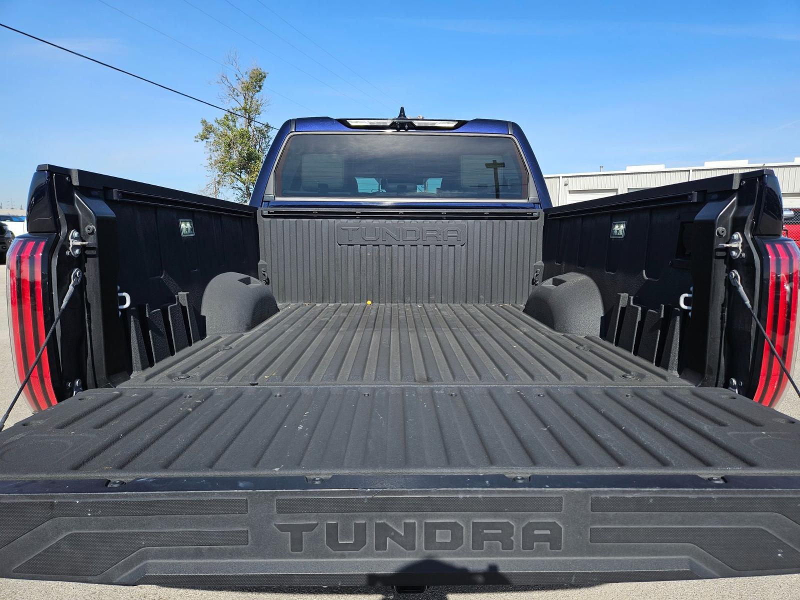 2023 Toyota Tundra 4WD Vehicle Photo in Seguin, TX 78155