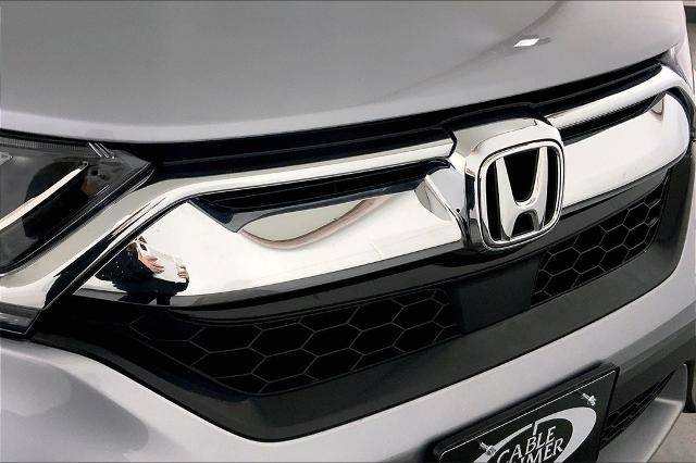 2019 Honda CR-V Vehicle Photo in Lees Summit, MO 64086