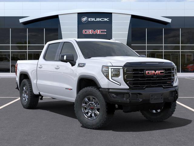 2025 GMC Sierra 1500 Vehicle Photo in MEDINA, OH 44256-9631