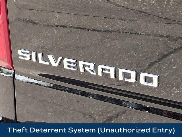 2024 Chevrolet Silverado 1500 Vehicle Photo in PAWLING, NY 12564-3219