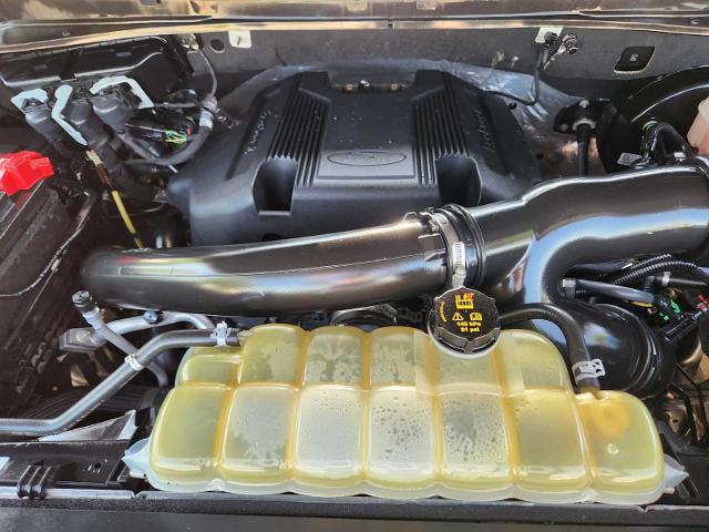 2020 Ford Expedition Vehicle Photo in DENTON, TX 76210-9321