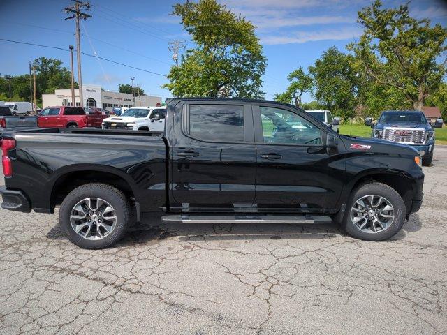 2025 Chevrolet Silverado 1500 Vehicle Photo in WEST FRANKFORT, IL 62896-4173