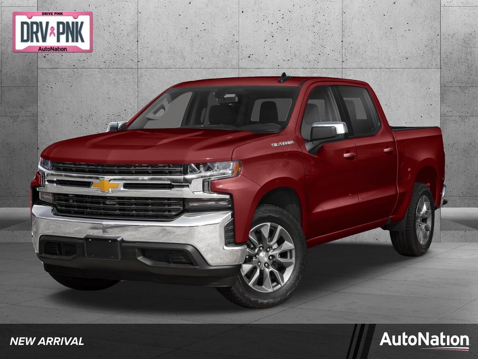 2019 Chevrolet Silverado 1500 Vehicle Photo in St. Petersburg, FL 33713