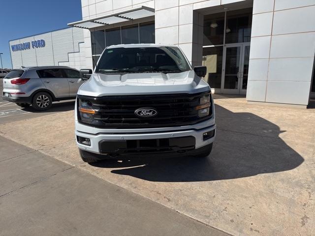 2025 Ford F-150 Vehicle Photo in Winslow, AZ 86047-2439