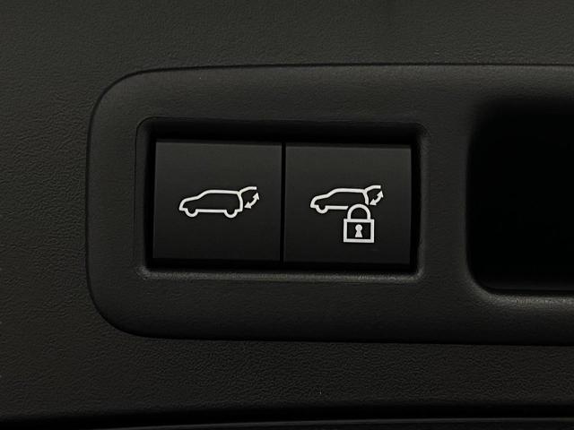 2025 Lexus UX 300h Vehicle Photo in Appleton, WI 54913