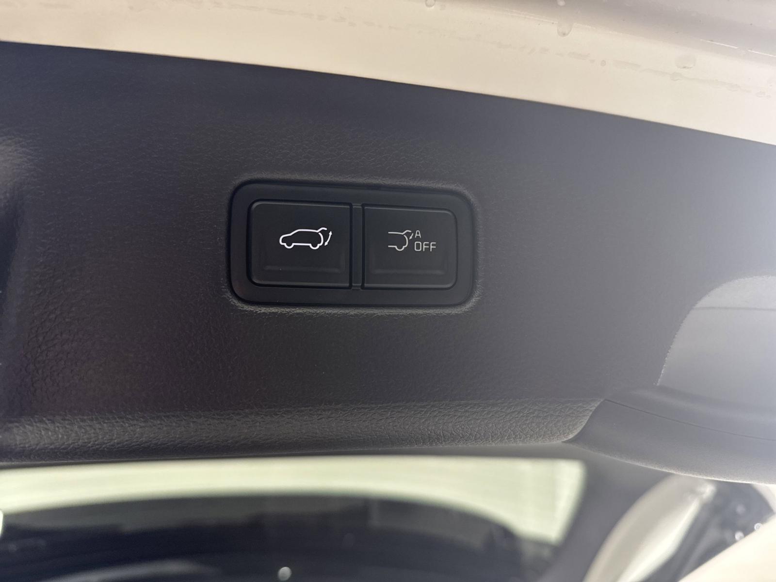 2025 Kia Carnival Hybrid Vehicle Photo in GEORGETOWN, TX 78626-7508