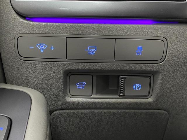 2024 Hyundai PALISADE Vehicle Photo in Appleton, WI 54913