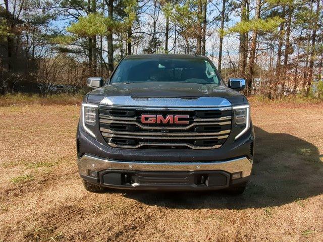 2025 GMC Sierra 1500 Vehicle Photo in ALBERTVILLE, AL 35950-0246