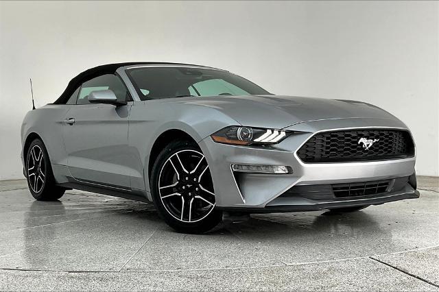 2022 Ford Mustang Vehicle Photo in Grapevine, TX 76051