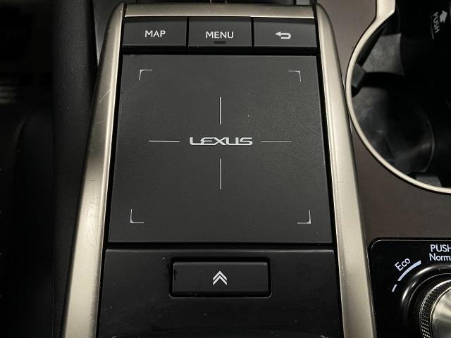 2022 Lexus RX 350 Vehicle Photo in Appleton, WI 54913