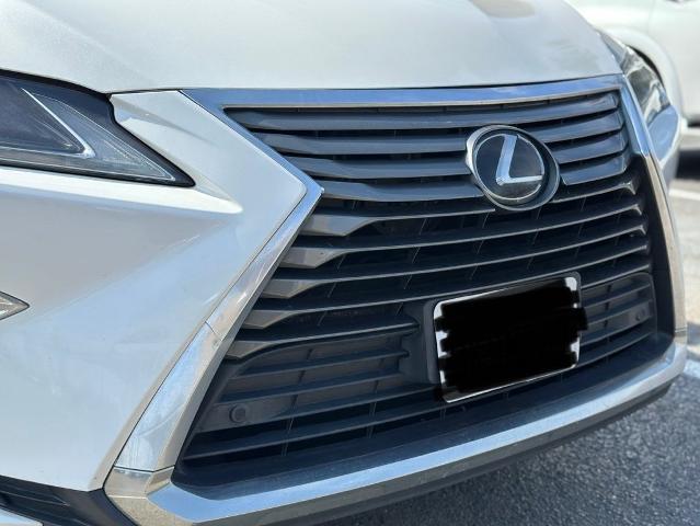 2019 Lexus RX 350 Vehicle Photo in San Antonio, TX 78230