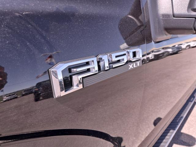 2019 Ford F-150 Vehicle Photo in NEDERLAND, TX 77627-8017