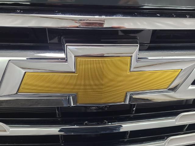 2025 Chevrolet Silverado 2500 HD Vehicle Photo in THOMPSONTOWN, PA 17094-9014