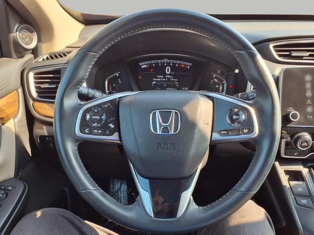 2019 Honda CR-V Vehicle Photo in Appleton, WI 54914