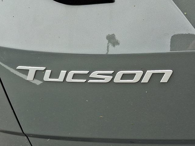 2025 Hyundai TUCSON Vehicle Photo in Philadelphia, PA 19116