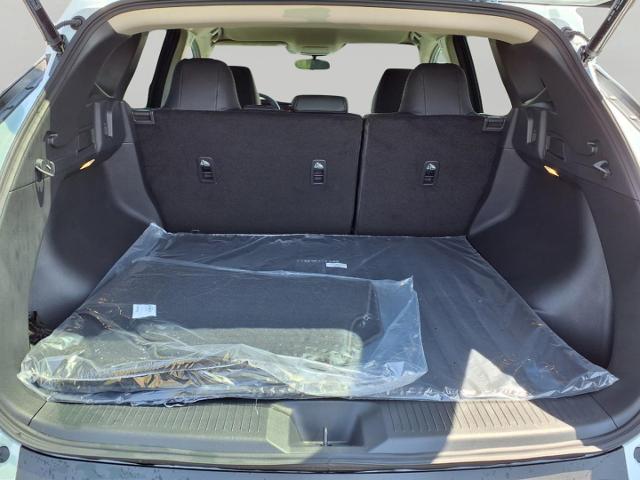 2025 Nissan Murano Vehicle Photo in Oshkosh, WI 54904
