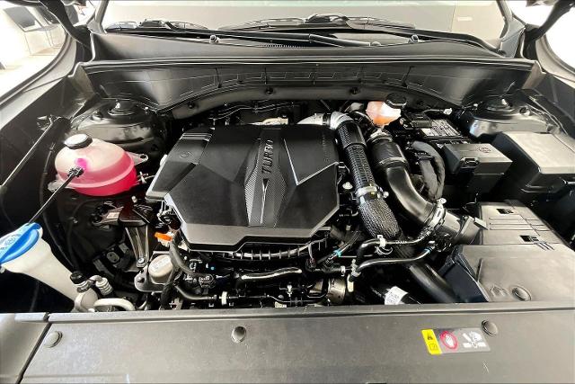 2024 Kia Sorento Vehicle Photo in San Antonio, TX 78230
