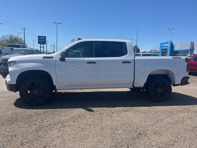 2024 Chevrolet Silverado 1500 Vehicle Photo in SAUK CITY, WI 53583-1301