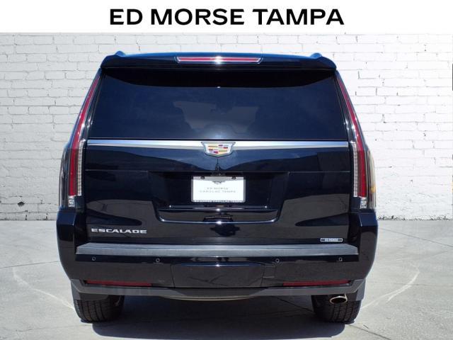 2019 Cadillac Escalade Vehicle Photo in TAMPA, FL 33612-3404