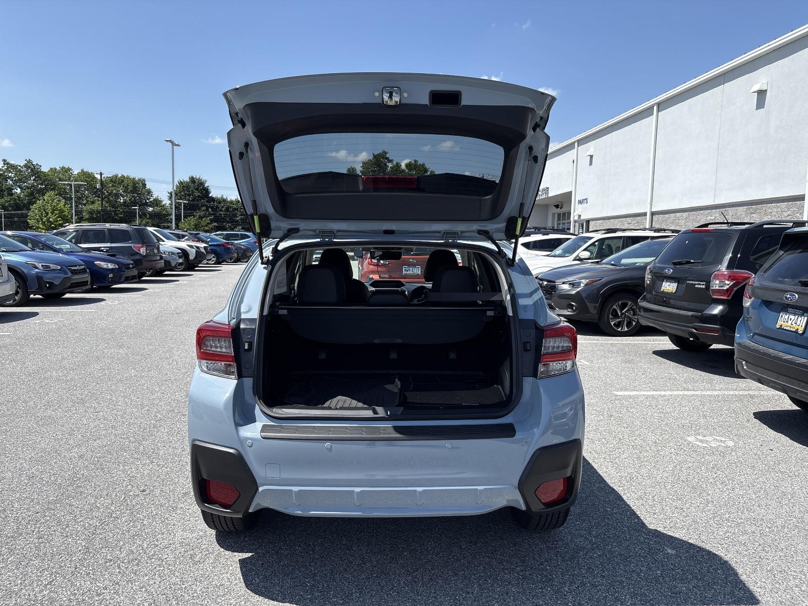 2022 Subaru Crosstrek Vehicle Photo in Mechanicsburg, PA 17050