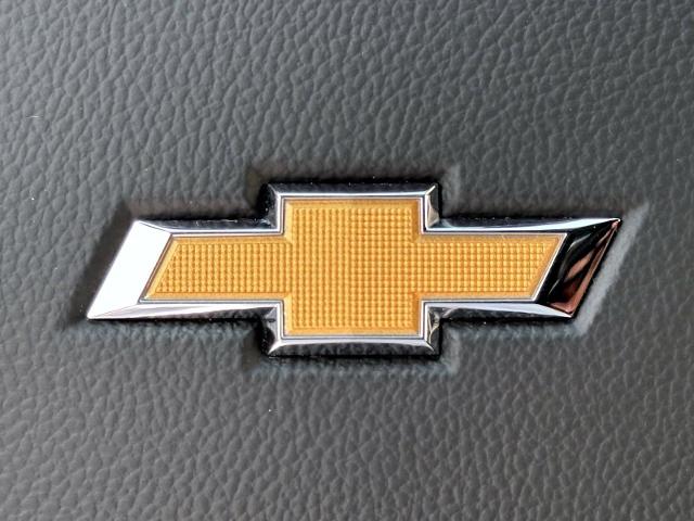 2023 Chevrolet Traverse Vehicle Photo in Roslyn, NY 11576