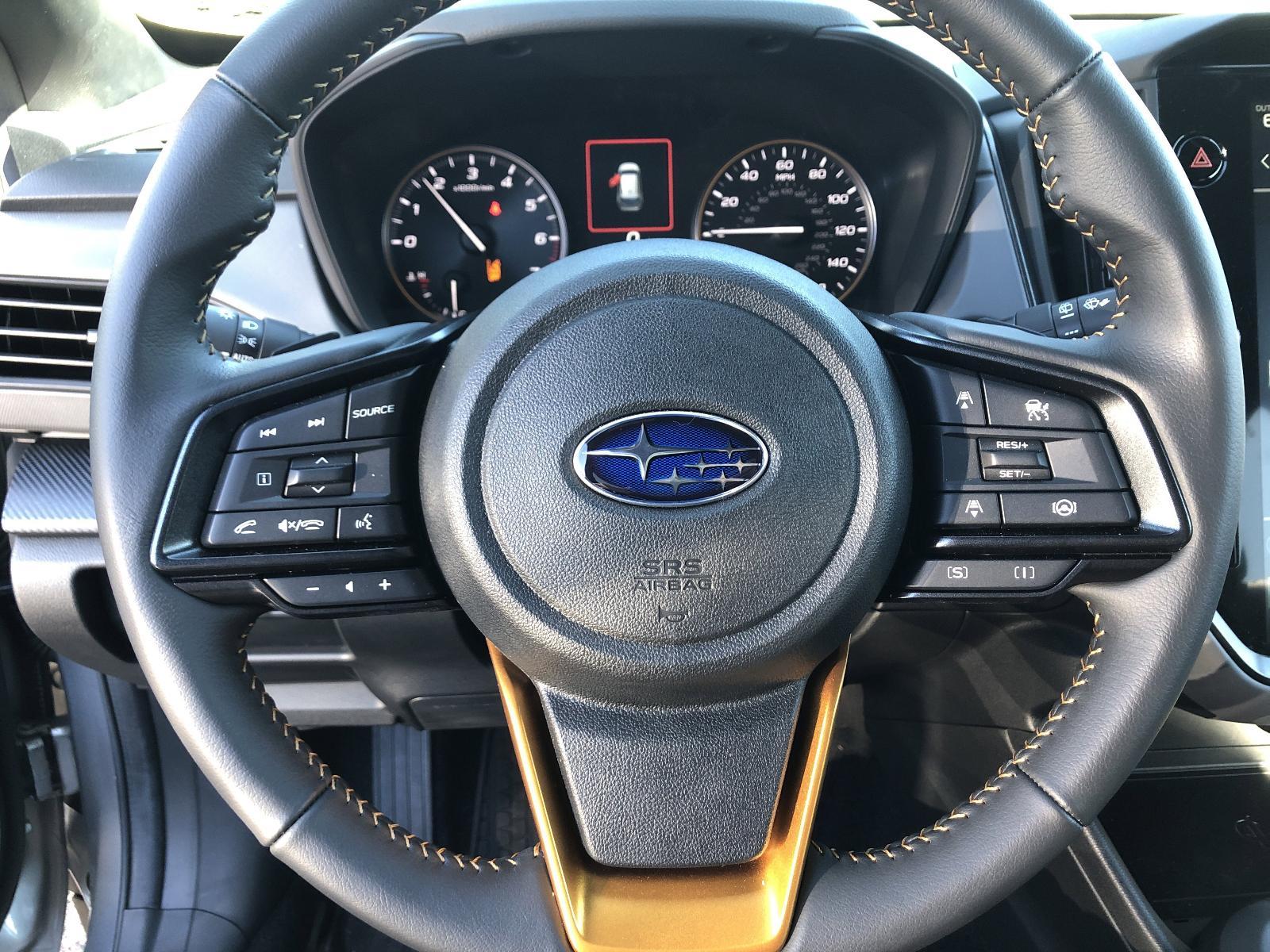 2025 Subaru Crosstrek Vehicle Photo in Mechanicsburg, PA 17050
