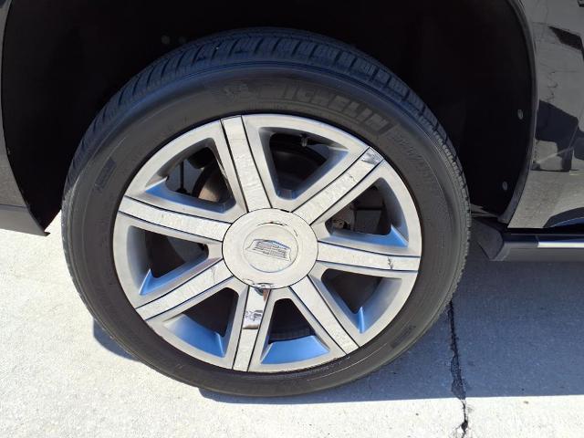 2019 Cadillac Escalade Vehicle Photo in Tampa, FL 33612