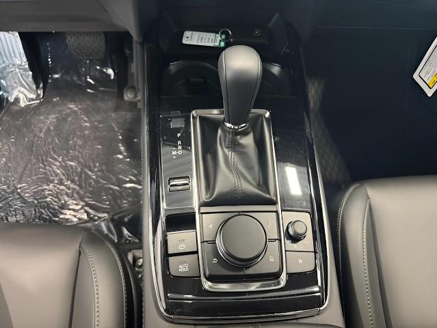 2025 Mazda CX-30 Vehicle Photo in Green Bay, WI 54304