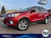 Used 2019 Ford Escape SE with VIN 1FMCU0GD5KUB27182 for sale in Windom, Minnesota