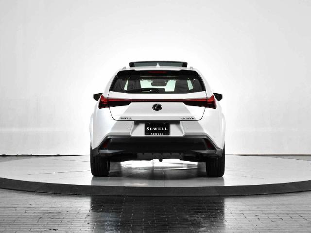 2025 Lexus UX 300h Vehicle Photo in DALLAS, TX 75235