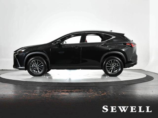 2024 Lexus NX 350 Vehicle Photo in DALLAS, TX 75235