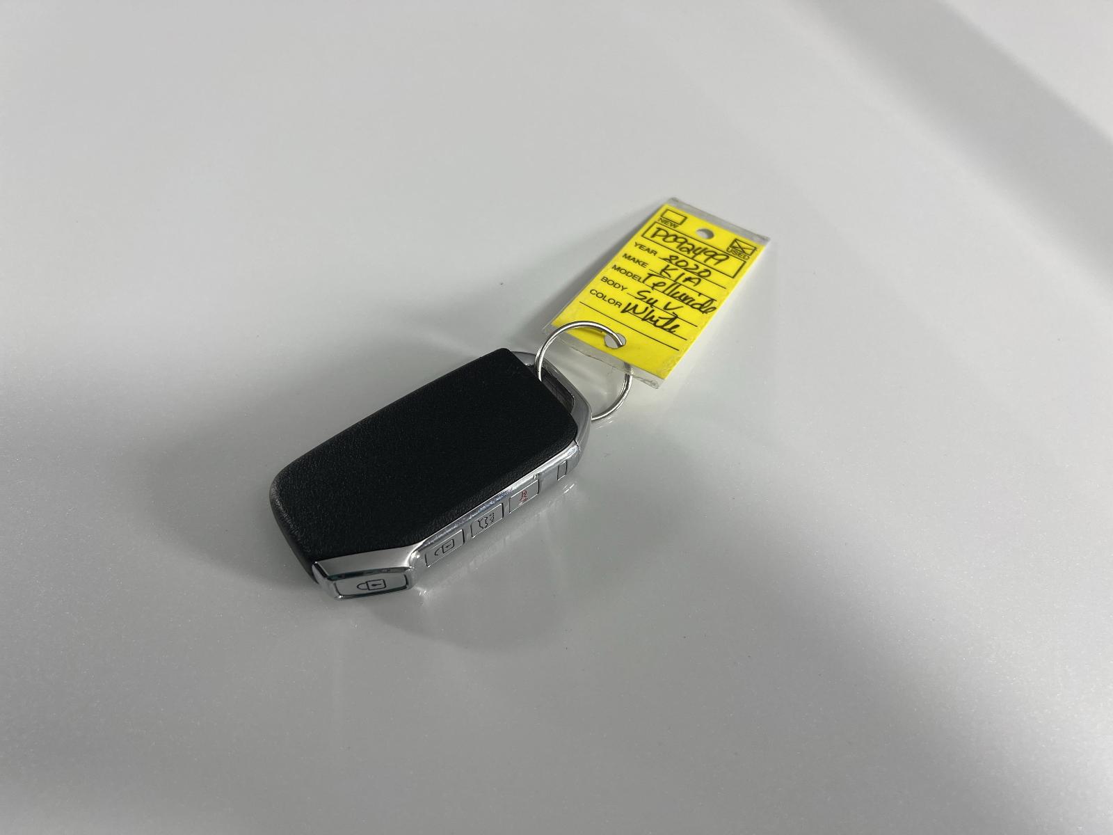 2020 Kia Telluride Vehicle Photo in GEORGETOWN, TX 78626-7508