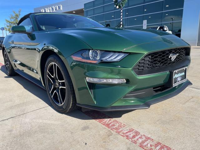 2023 Ford Mustang Vehicle Photo in Terrell, TX 75160