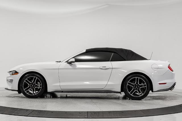 2018 Ford Mustang Vehicle Photo in Akron, OH 44312