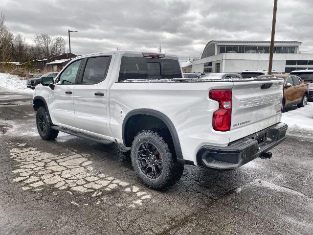 2023 Chevrolet Silverado 1500 Vehicle Photo in WILLIAMSVILLE, NY 14221-2883