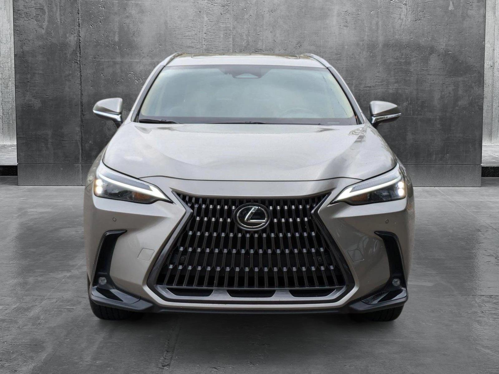 2024 Lexus NX 250 Vehicle Photo in Tampa, FL 33614