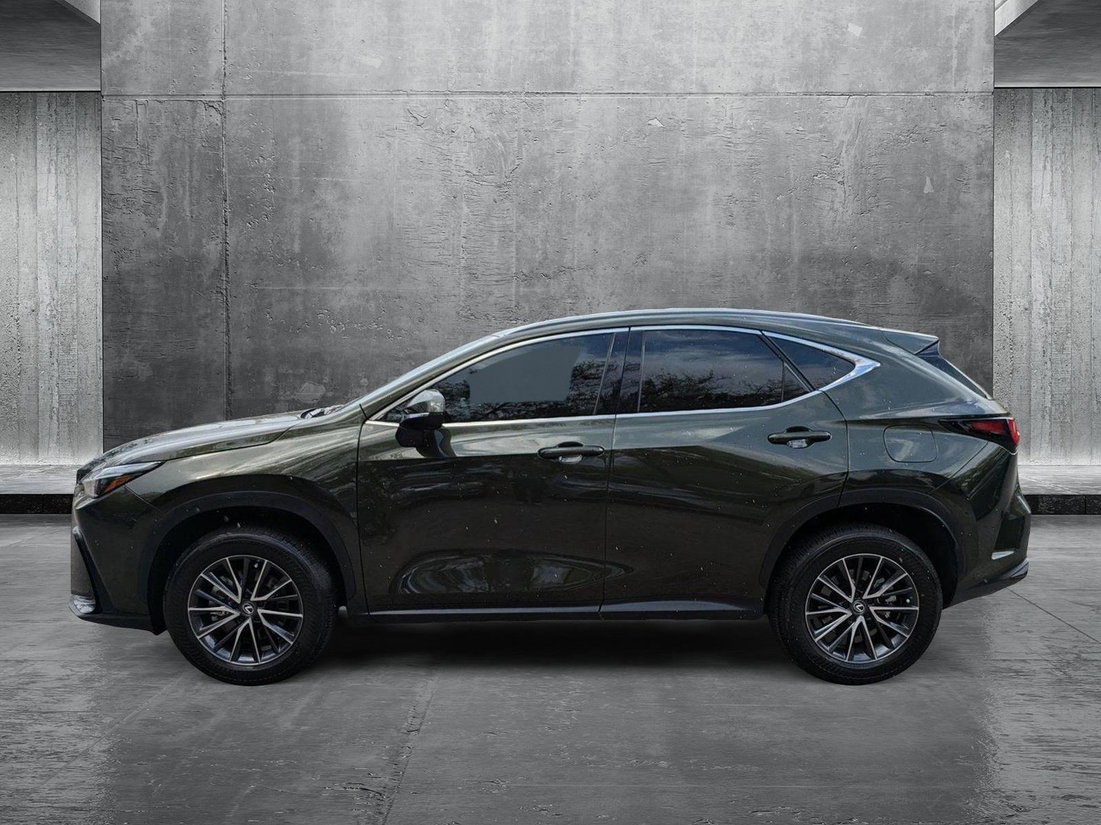 2024 Lexus NX 250 Vehicle Photo in Tampa, FL 33614