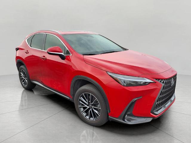 2022 Lexus NX 250 Vehicle Photo in Oshkosh, WI 54904