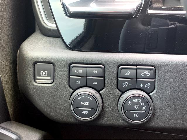 2025 Chevrolet Silverado 1500 Vehicle Photo in BEAUFORT, SC 29906-4218