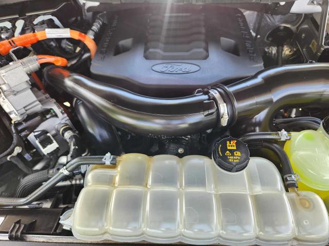 2022 Ford F-150 Vehicle Photo in DENTON, TX 76210-9321