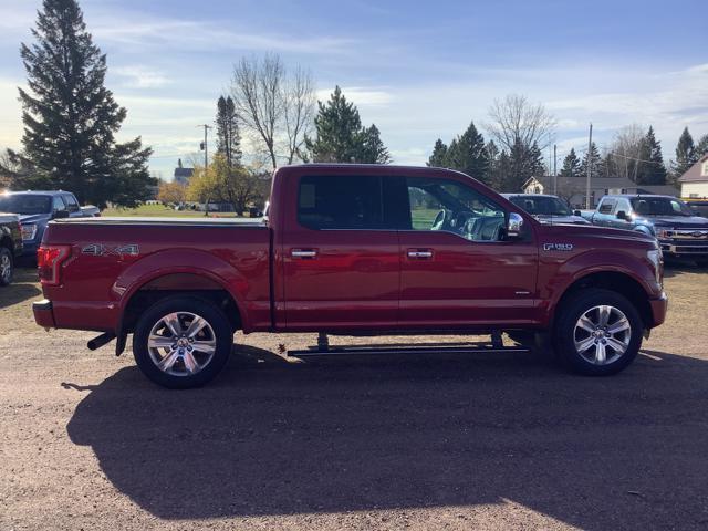 2015 Ford F-150 Platinum photo 6