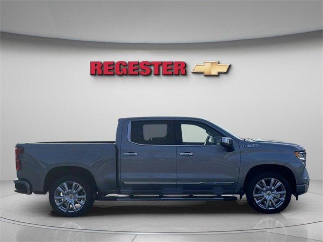2025 Chevrolet Silverado 1500 Vehicle Photo in THOMPSONTOWN, PA 17094-9014