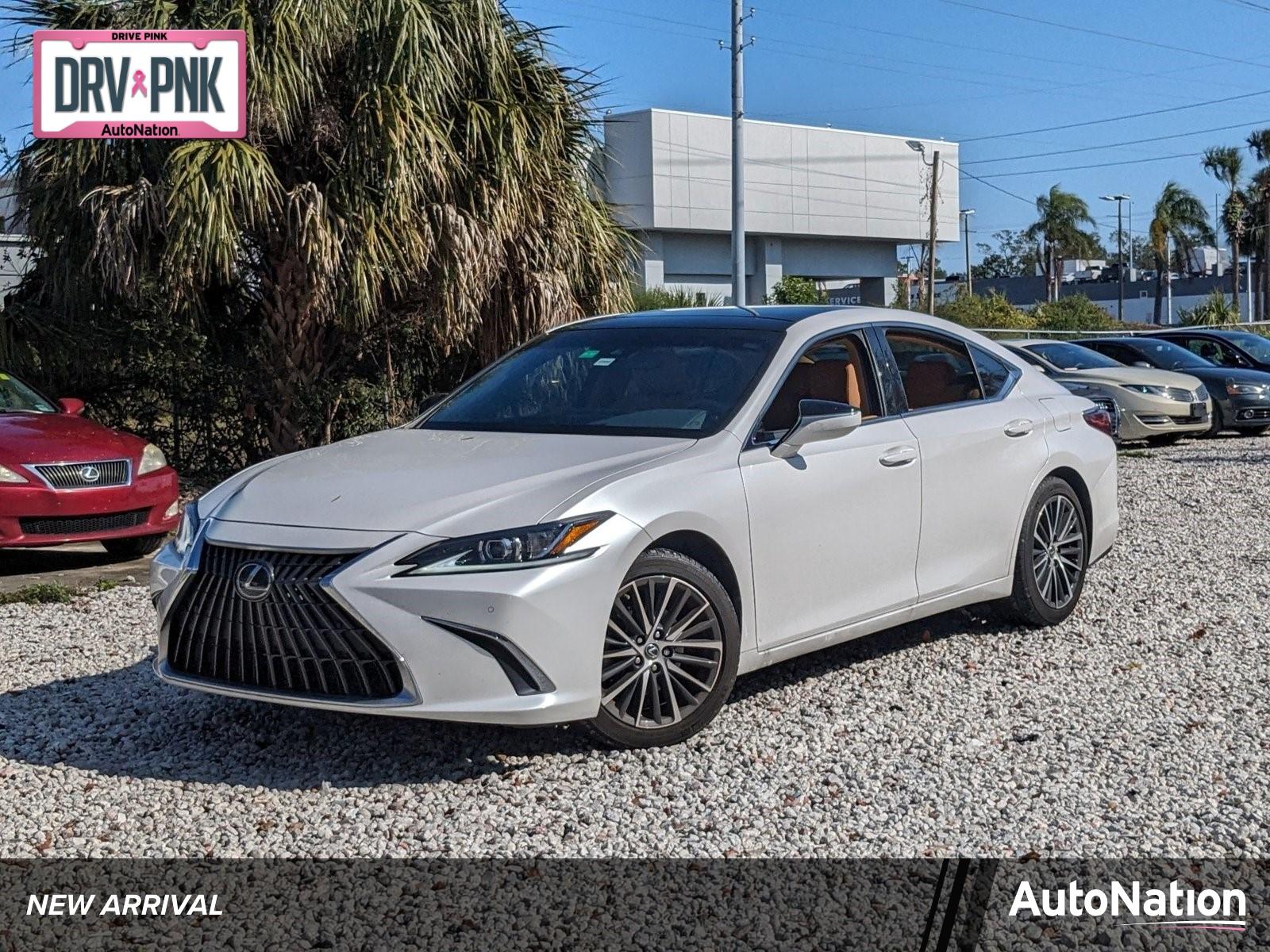 2022 Lexus ES 350 Vehicle Photo in Tampa, FL 33614