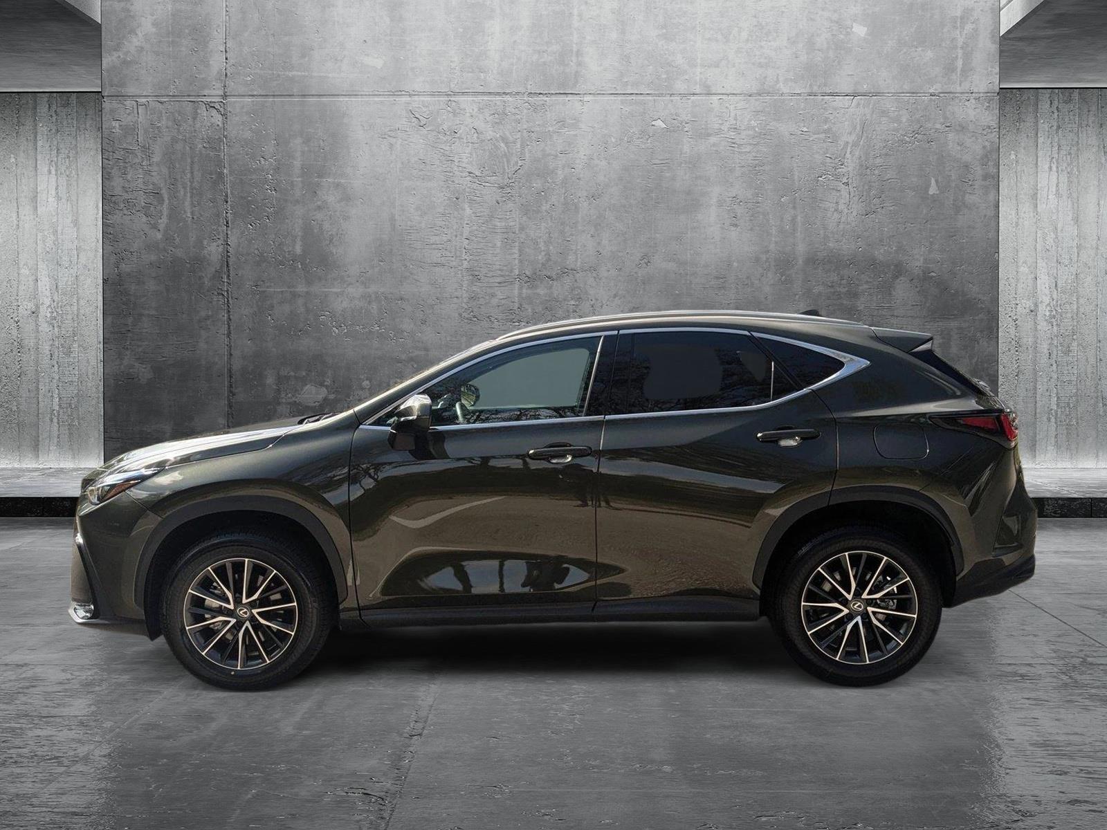 2024 Lexus NX 250 Vehicle Photo in West Palm Beach, FL 33417