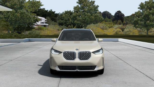2025 BMW X3 30 xDrive Vehicle Photo in GRAPEVINE, TX 76051