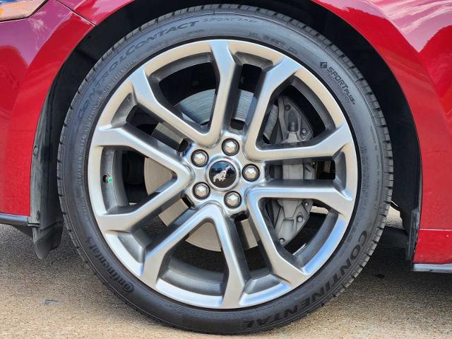 2019 Ford Mustang Vehicle Photo in PLANO, TX 75024