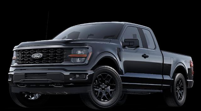 2025 Ford F-150 Vehicle Photo in Neenah, WI 54956
