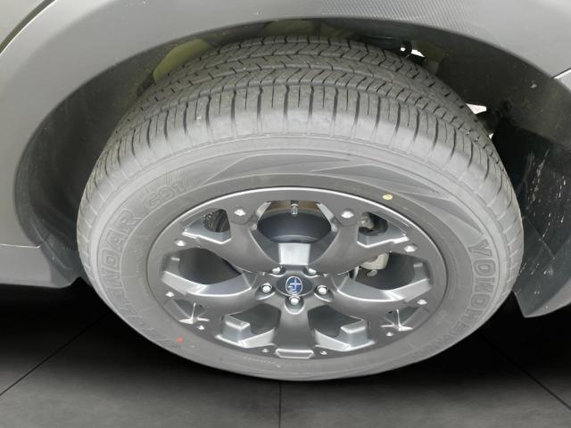 2023 Subaru Crosstrek Vehicle Photo in Oshkosh, WI 54904