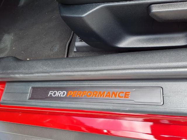 2021 Ford Mustang Vehicle Photo in Tampa, FL 33612