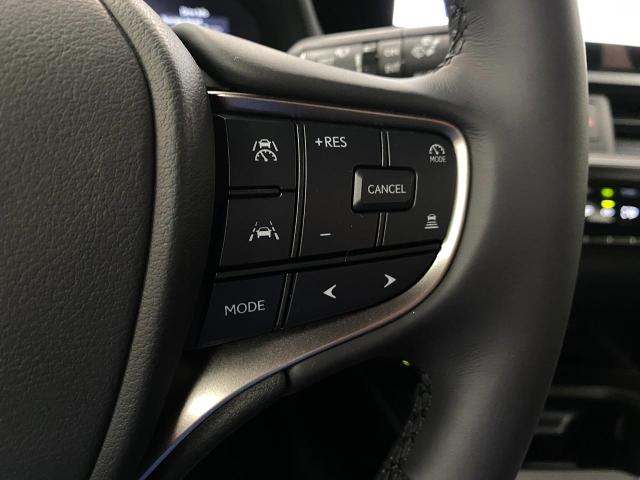 2025 Lexus UX 300h Vehicle Photo in Appleton, WI 54913